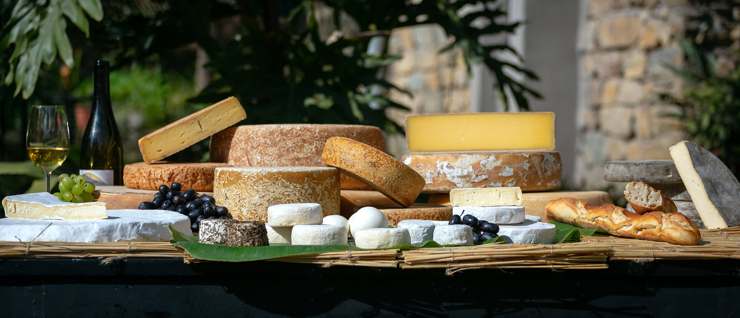 HIMALAYAN French Cheese